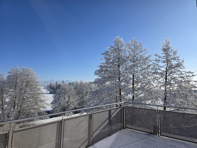 Charmante Attikawohnung im Zürcher Oberland (7)