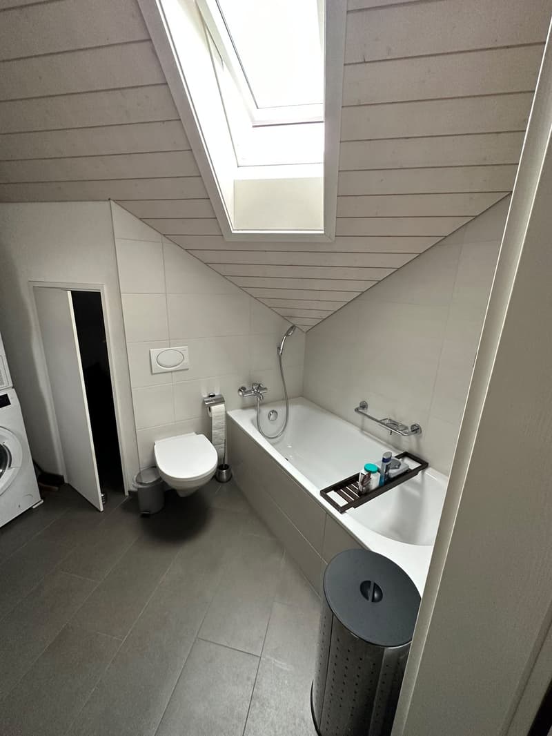 Traumhafte 2.5-Zimmer-Attikawohnung (95 m²) mit Alpenblick in Wallisellen (9)
