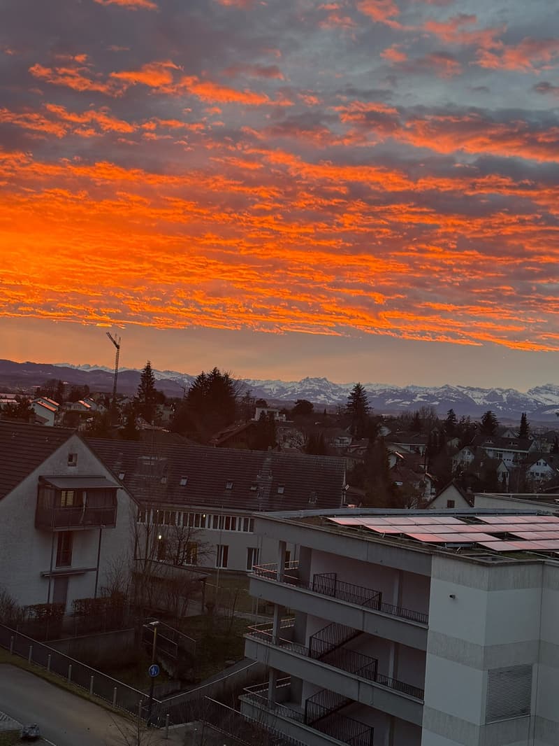 Traumhafte 2.5-Zimmer-Attikawohnung (95 m²) mit Alpenblick in Wallisellen (12)
