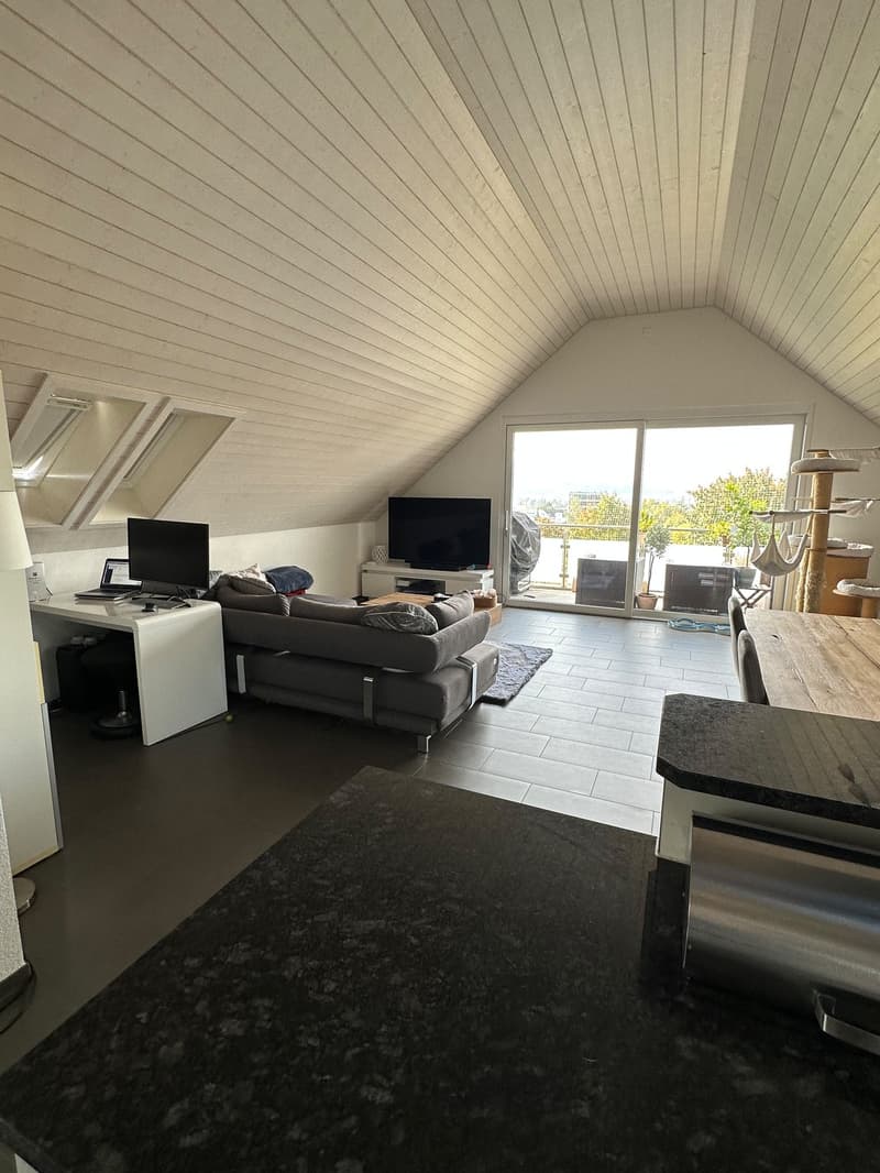 Traumhafte 2.5-Zimmer-Attikawohnung (95 m²) mit Alpenblick in Wallisellen (3)