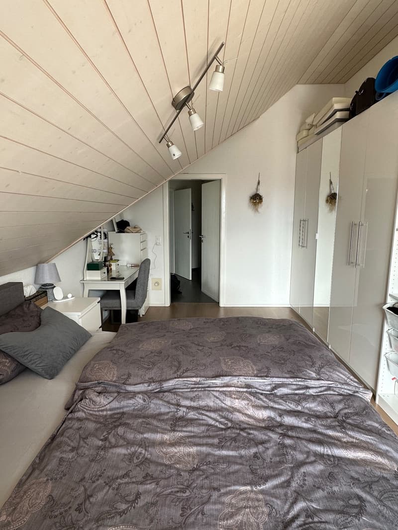 Traumhafte 2.5-Zimmer-Attikawohnung (95 m²) mit Alpenblick in Wallisellen (7)
