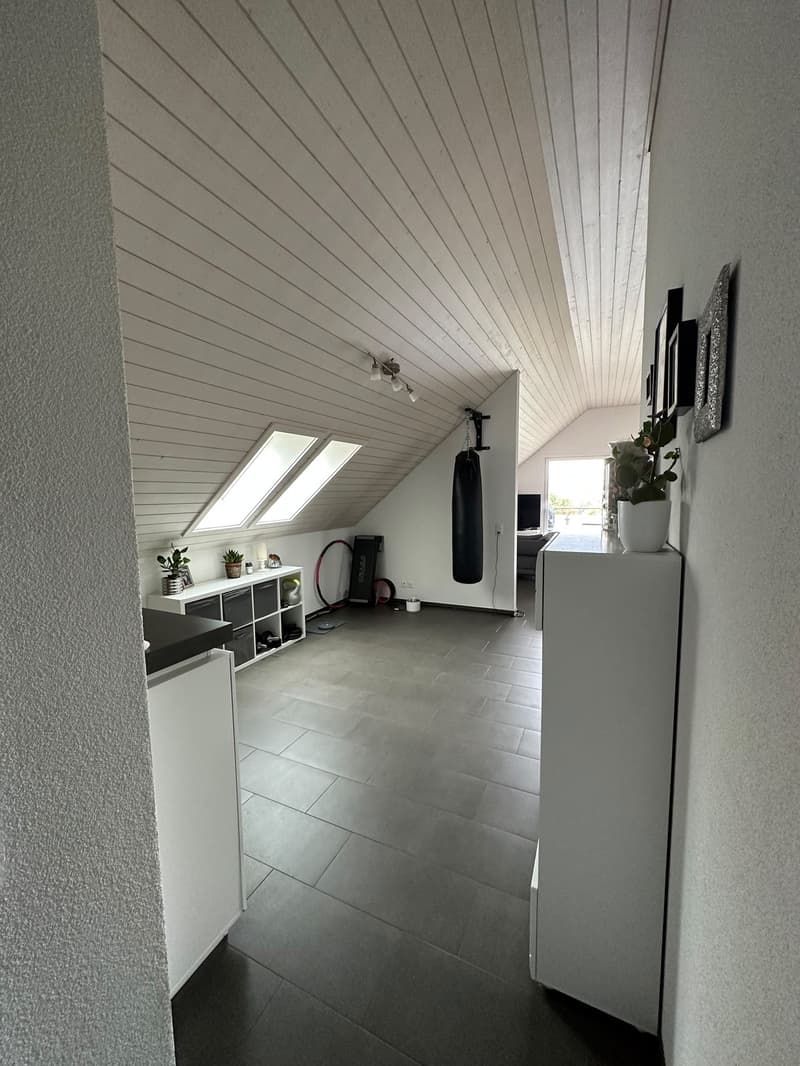 Traumhafte 2.5-Zimmer-Attikawohnung (95 m²) mit Alpenblick in Wallisellen (4)