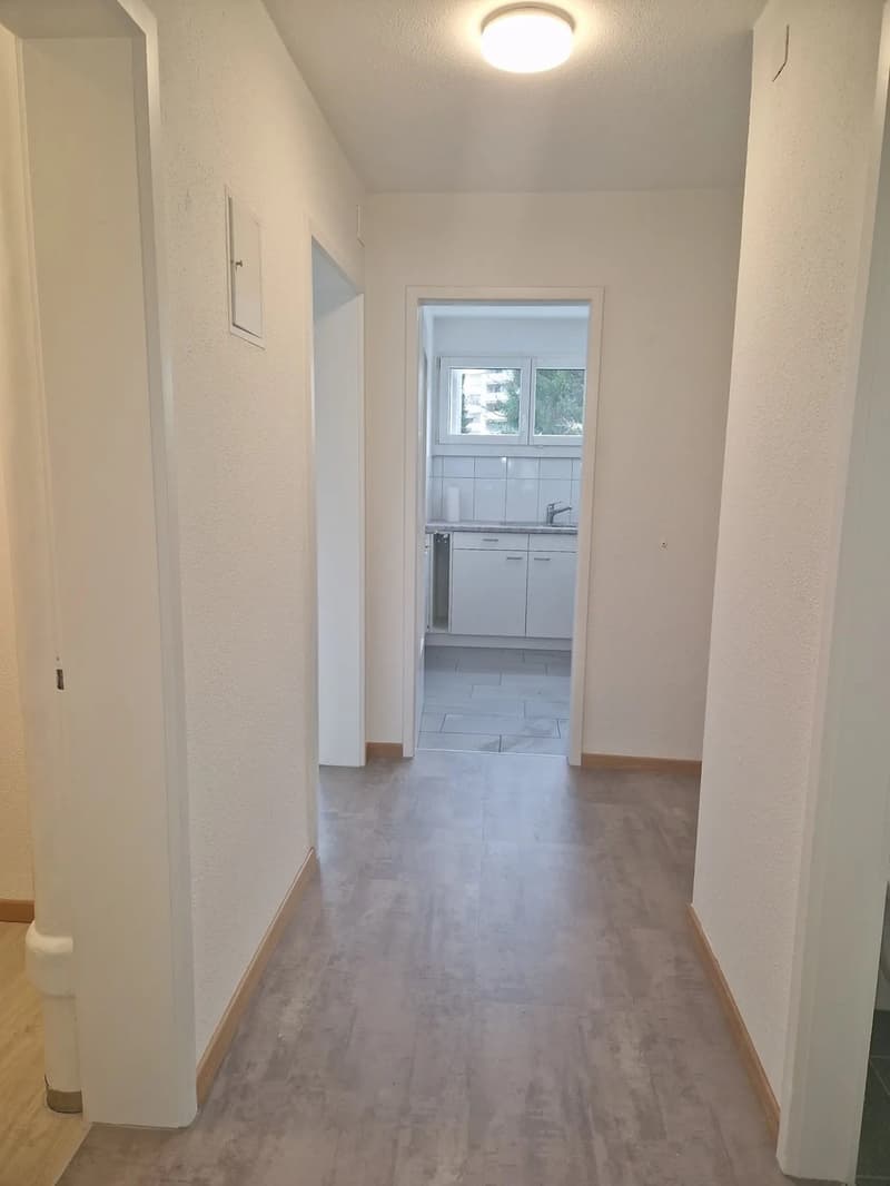 2-Z.-Whg. Brüttisellen 1'585.-- inkl.: 1 - 2 Min. Post, Denner, Bus (3)