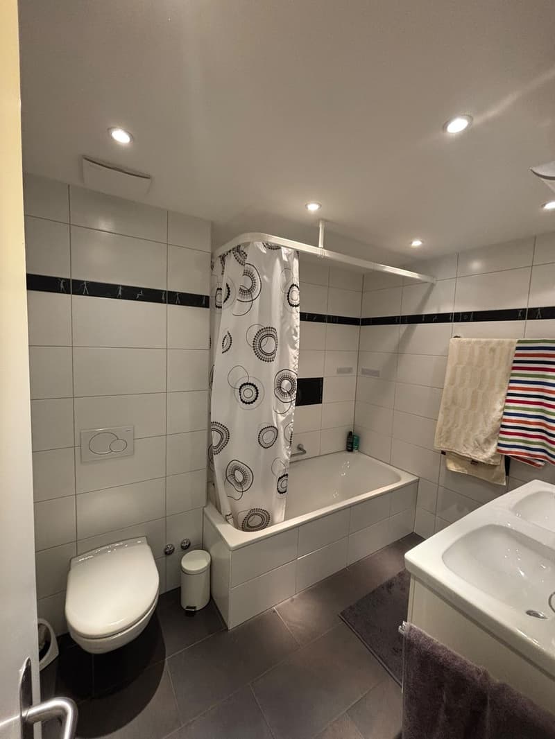 Schönes WG-Zimmer mit eigenem Bad und Dachterrasse im Bruchquartier (3)