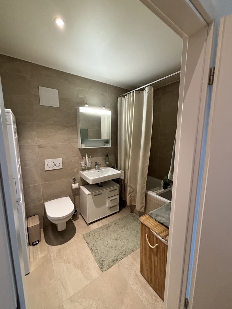Magnifique appartement 3.5 pièces lumineux avec balcon et place de parc (4)