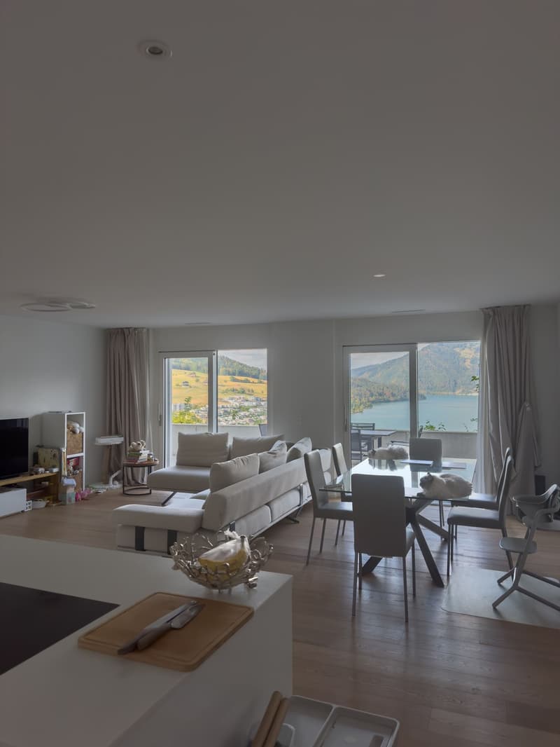 Quiet 3.5-Room Apartment in Immensee/Küssnacht am Rigi New Build with Stunning Views (1)