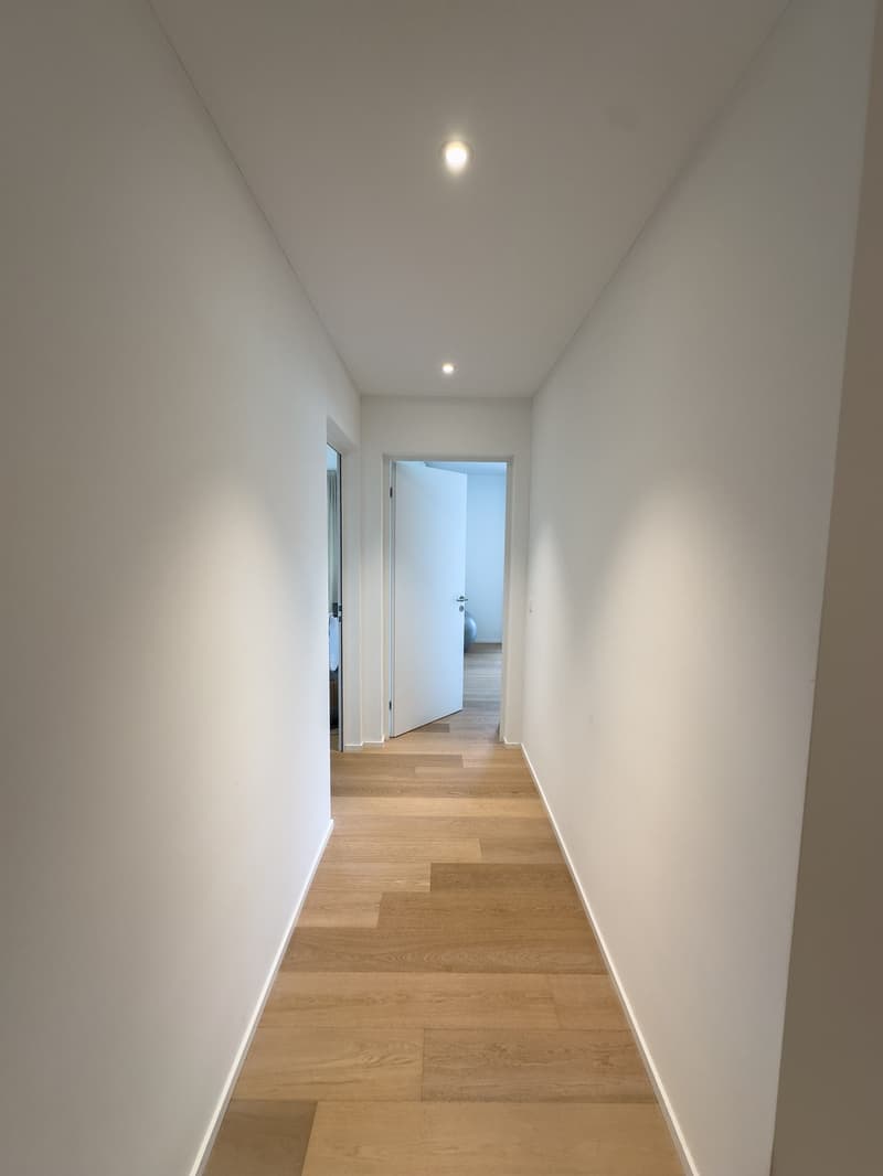 Quiet 3.5-Room Apartment in Immensee/Küssnacht am Rigi New Build with Stunning Views (9)