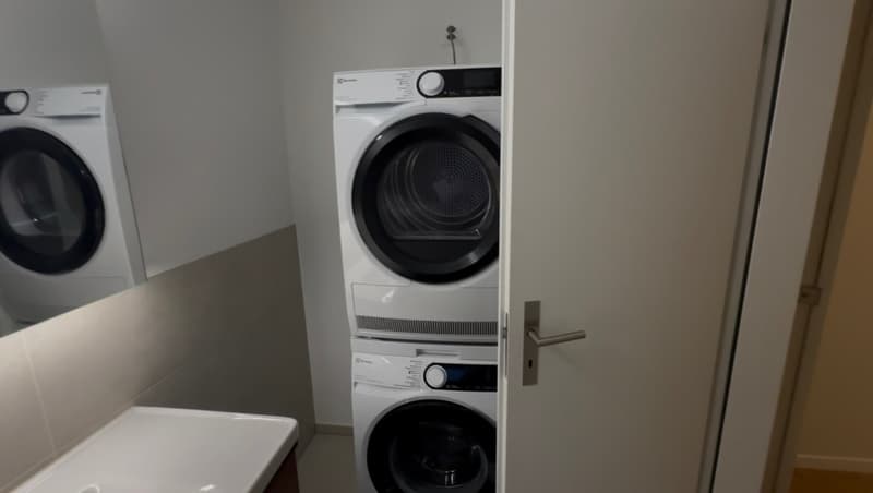 4.5 zimmer Wohnung in Affoltern am Albis (8)