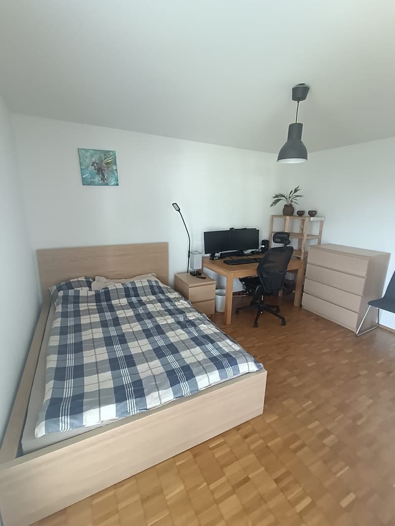 Spacious room in a modern flat close to Nr. 10 Tram (3)