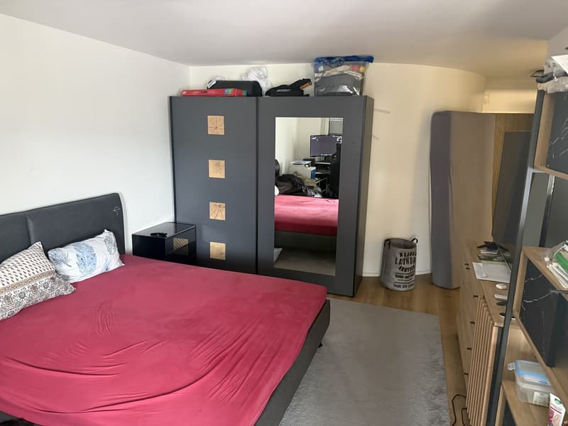 1 ½ rooms apartment, 8955 Oetwi an der Limmat (4)