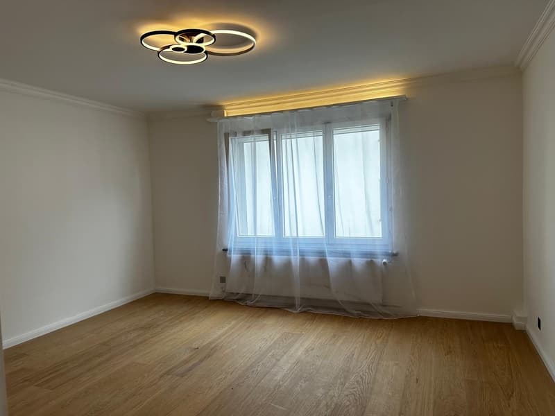 Modern 2-Bedroom Apartment in Zurich, Lease Takeover from September (5)