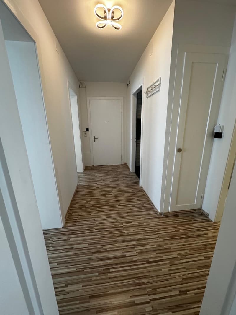 Modern 2-Bedroom Apartment in Zurich, Lease Takeover from September (2)