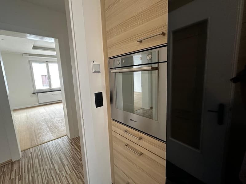 Modern 2-Bedroom Apartment in Zurich, Lease Takeover from September (6)