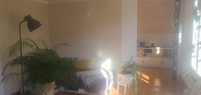 WG-Zimmer (3)