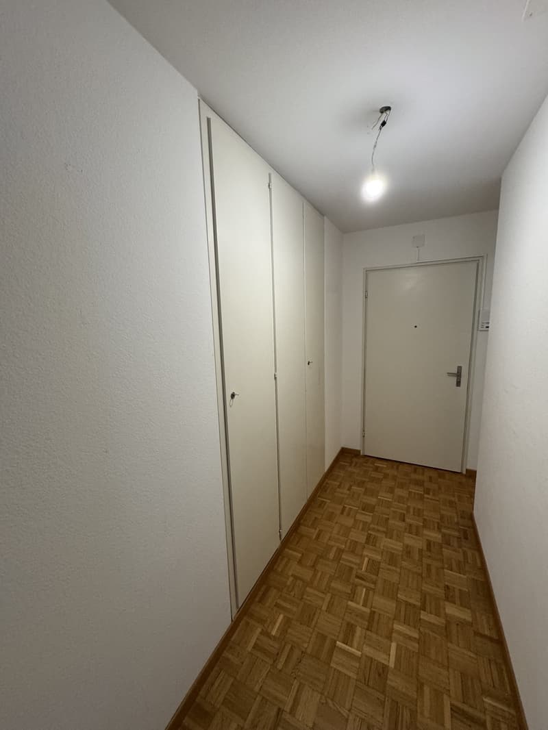 Fully furnished room in Zurich city with all bills included + cleaning (5)