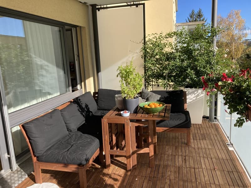 Spacious, Bright and Cousy 4th-floor apartment for rent in Zurich (11)
