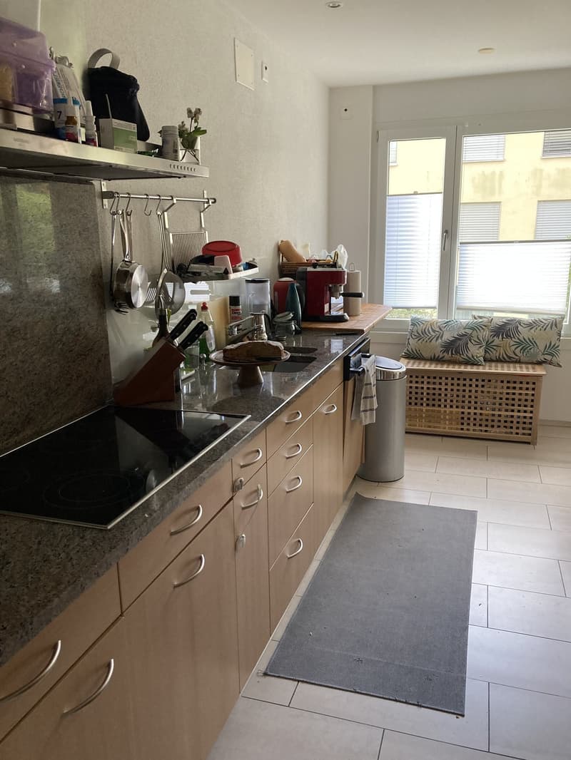 Spacious, Bright and Cousy 4th-floor apartment for rent in Zurich (5)
