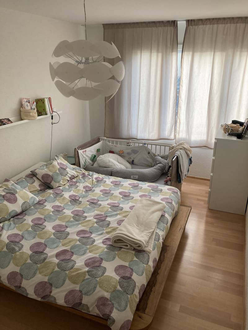 Spacious, Bright and Cousy 4th-floor apartment for rent in Zurich (6)