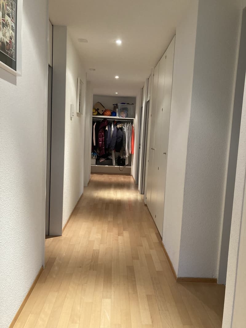 Spacious, Bright and Cousy 4th-floor apartment for rent in Zurich (7)