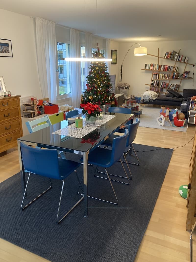 Spacious, Bright and Cousy 4th-floor apartment for rent in Zurich (4)