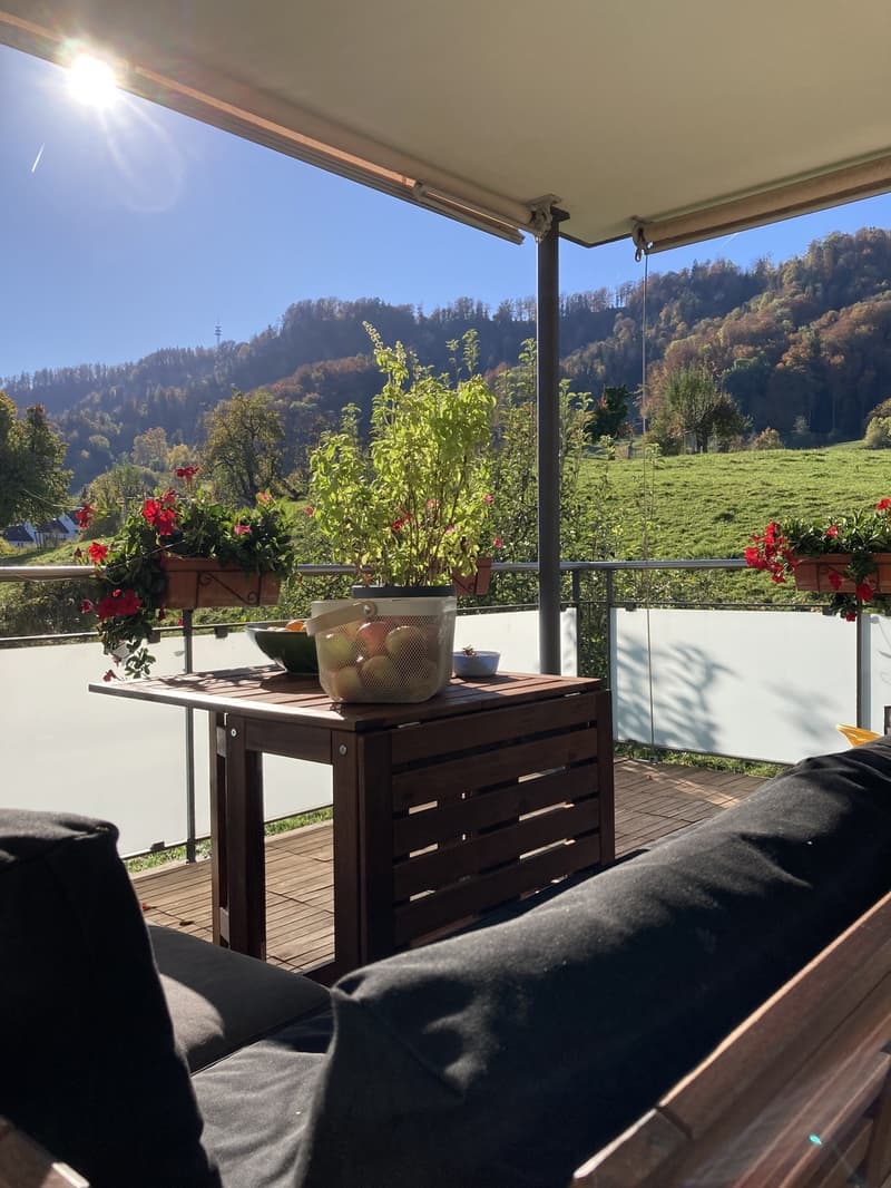Spacious, Bright and Cousy 4th-floor apartment for rent in Zurich (10)