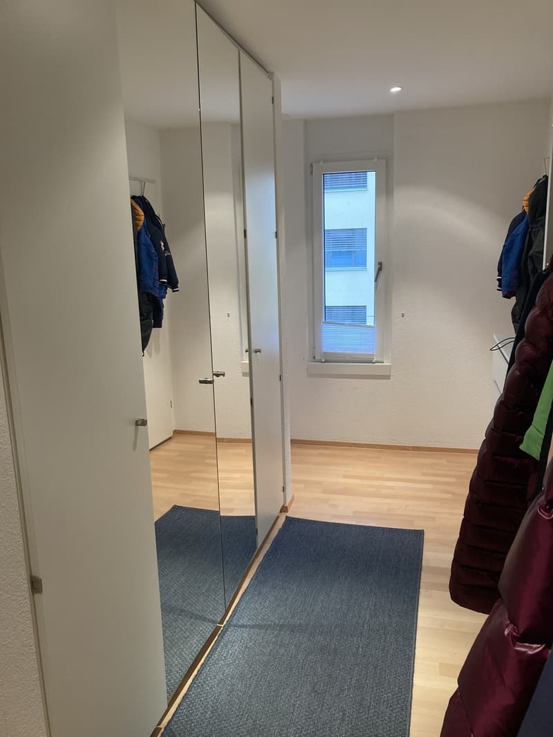 Spacious, Bright and Cousy 4th-floor apartment for rent in Zurich (8)