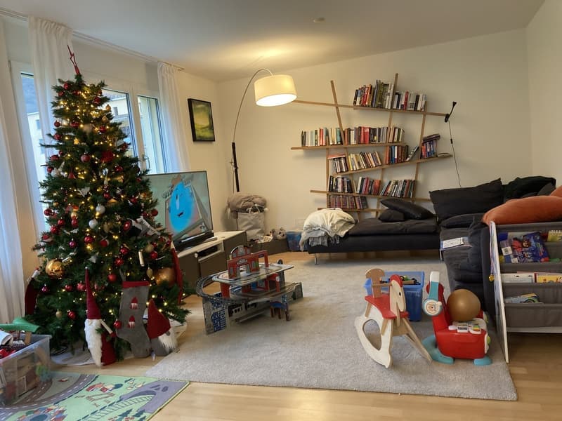 Spacious, Bright and Cousy 4th-floor apartment for rent in Zurich (3)