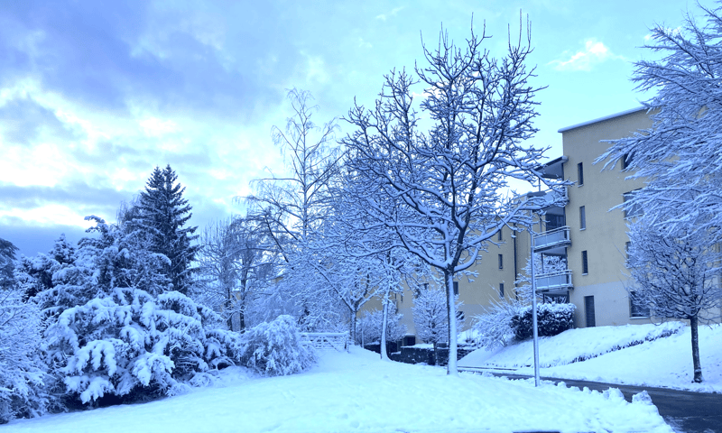 Spacious, Bright and Cousy 4th-floor apartment for rent in Zurich (12)