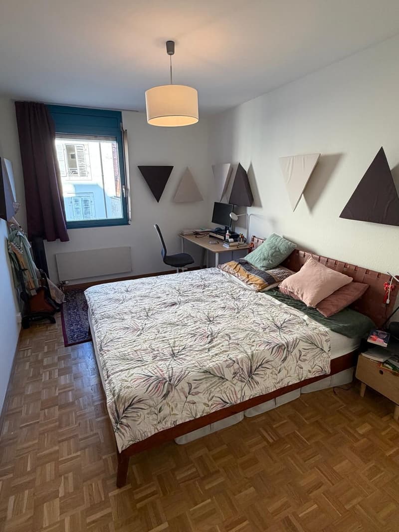 Spacious 4-room apartment in central Plainpalais (2)
