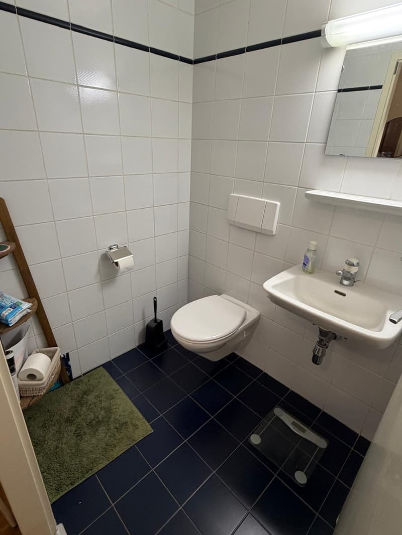 Spacious 4-room apartment in central Plainpalais (7)