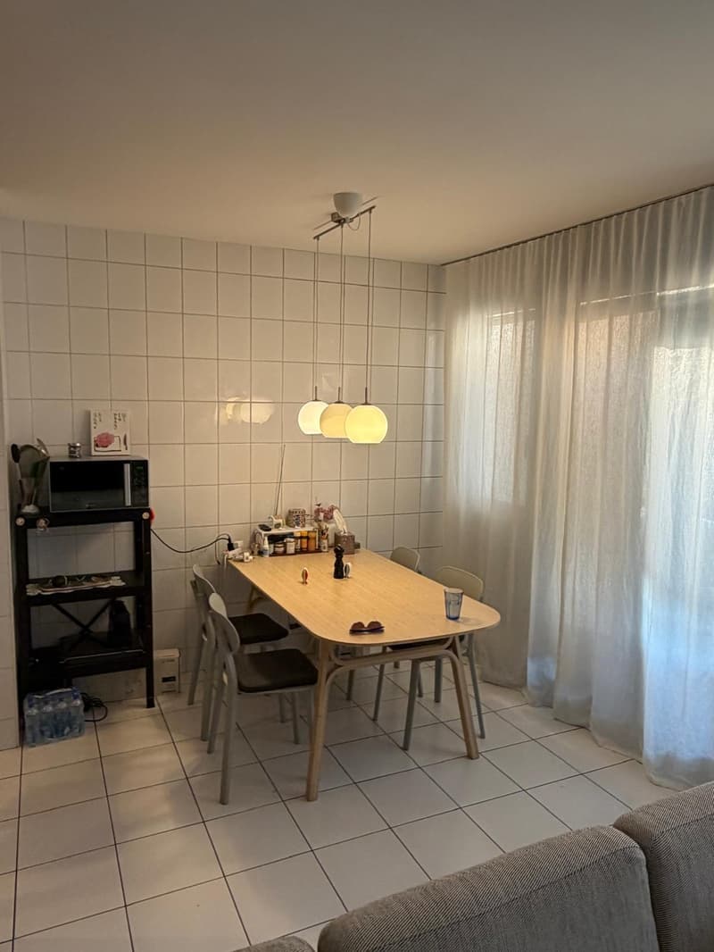 Spacious 4-room apartment in central Plainpalais (4)