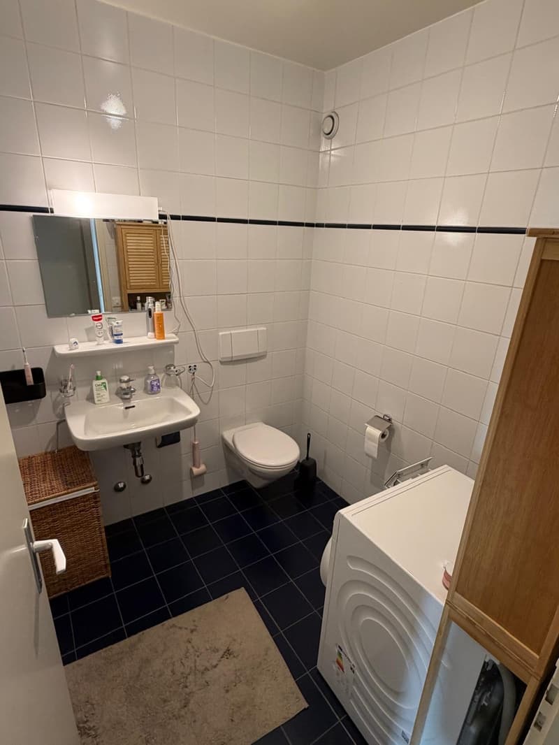 Spacious 4-room apartment in central Plainpalais (6)