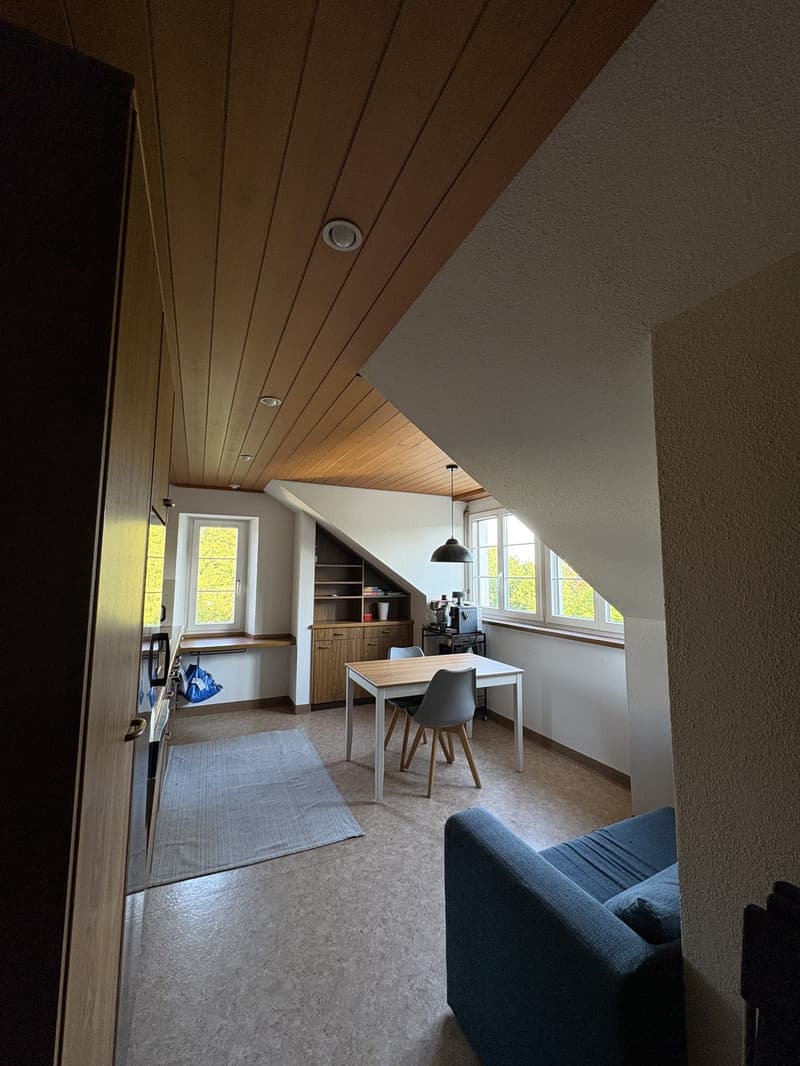 Room in Winterthur (7)