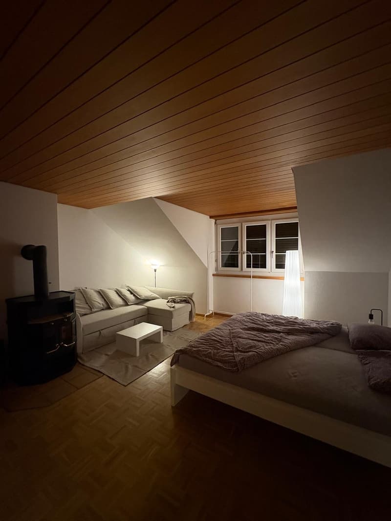 Room in Winterthur (1)
