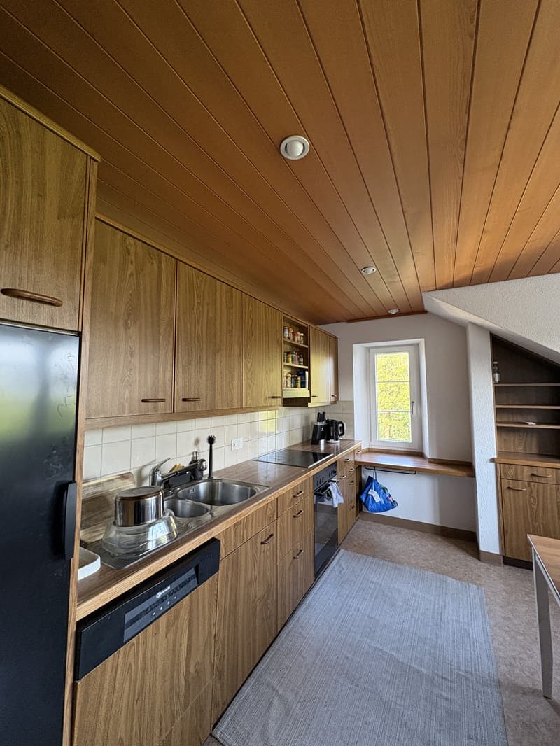 Room in Winterthur (6)