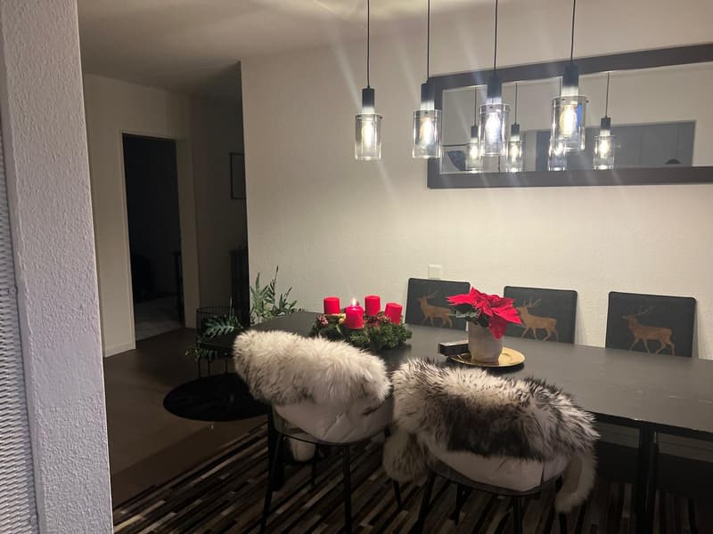 Hochwertiges, grosses Zimmer (24qm) in ruhiger Frauen-WG (10)