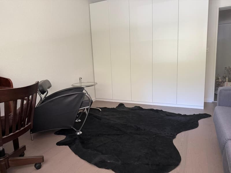 Hochwertiges, grosses Zimmer (24qm) in ruhiger Frauen-WG (2)