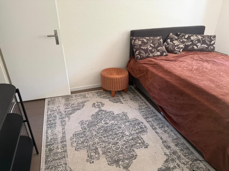 Hochwertiges, grosses Zimmer (24qm) in ruhiger Frauen-WG (4)