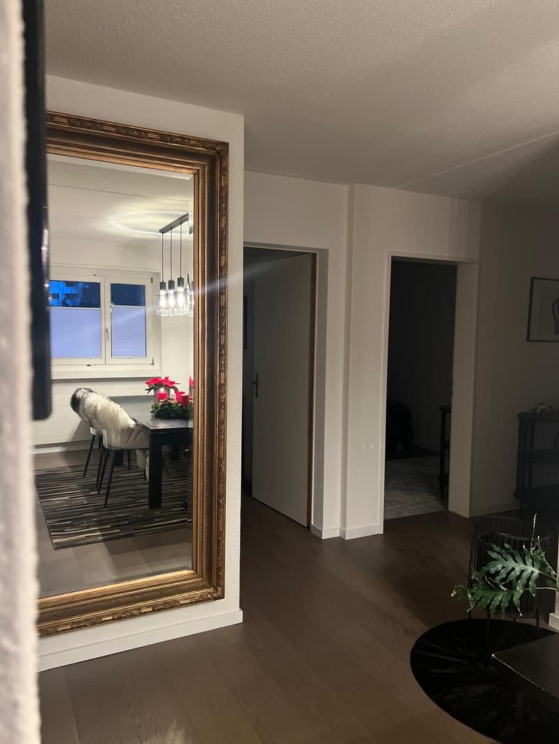 Hochwertiges, grosses Zimmer (24qm) in ruhiger Frauen-WG (11)