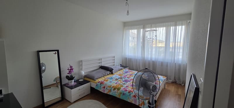 3.5 Zimmer Wohnung mit Garagenabstellplatz (3)