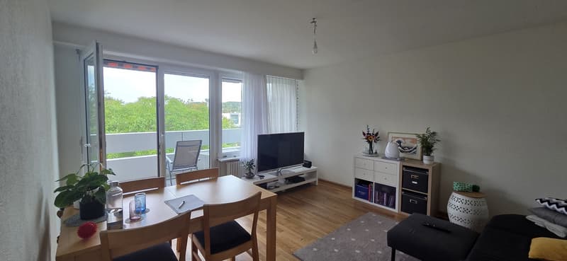 3.5 Zimmer Wohnung mit Garagenabstellplatz (1)