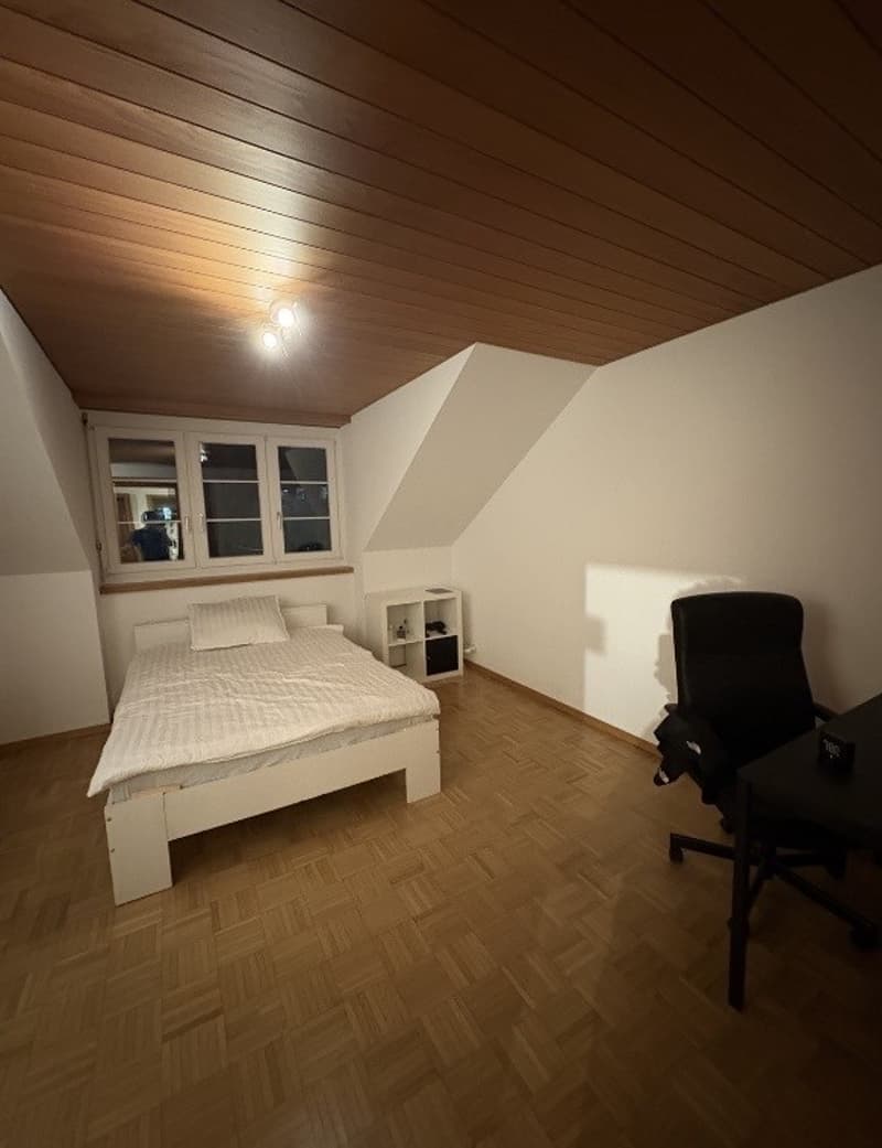 Room for rent in Winterthur (1)