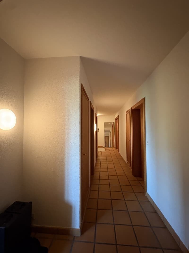 Room for rent in Winterthur (4)