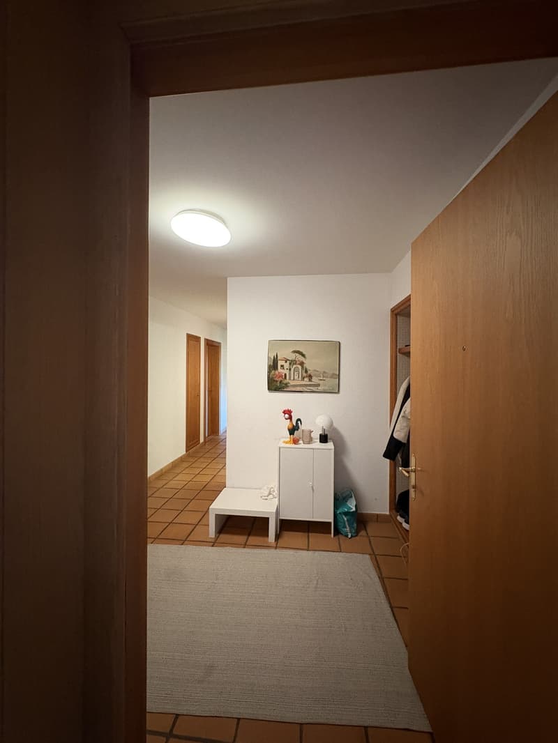 Room for rent in Winterthur (8)