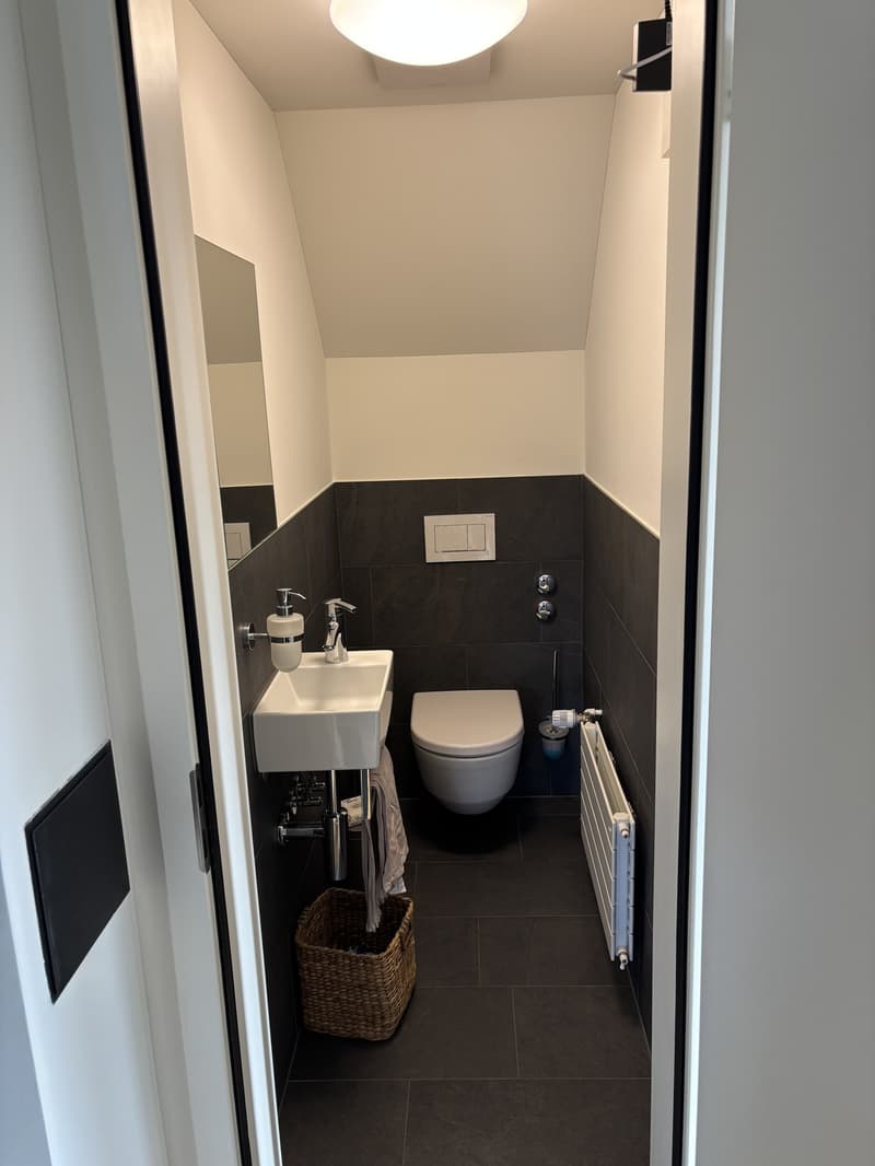 4.5 Zimmer Dachgeschosswohnung (5)