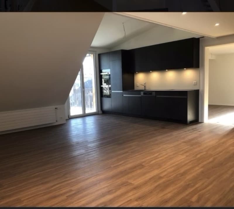 4.5 Zimmer Dachgeschosswohnung (4)