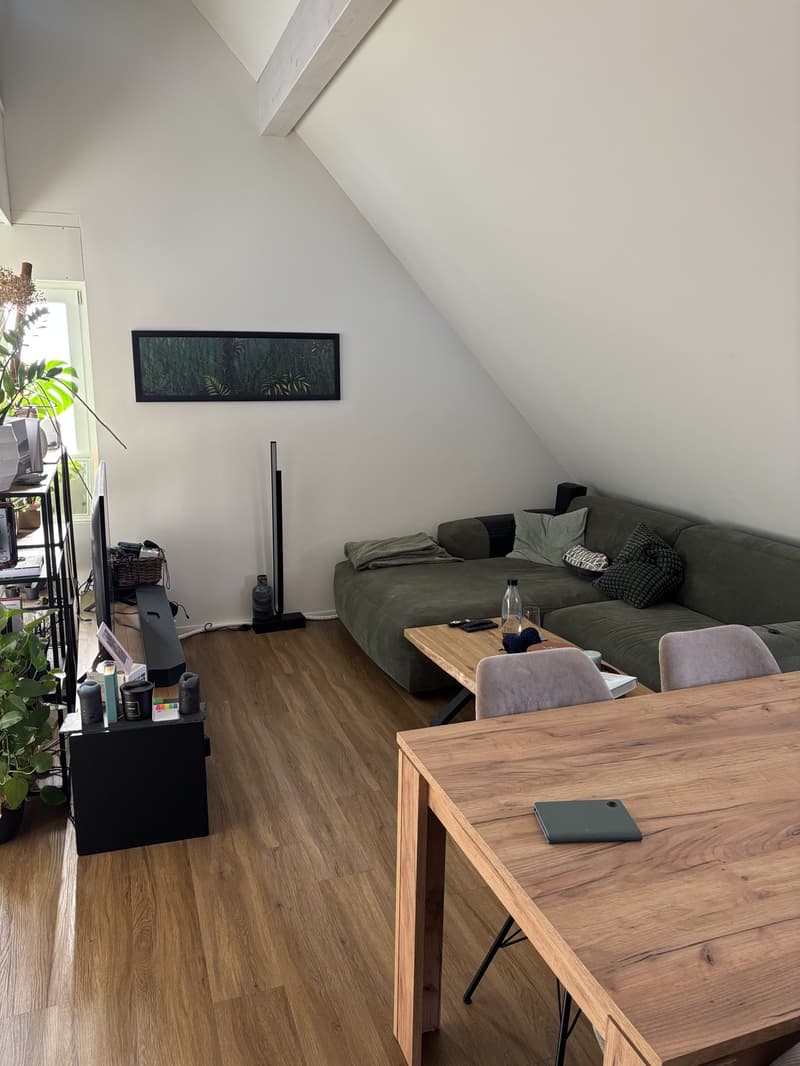 4.5 Zimmer Dachgeschosswohnung (1)