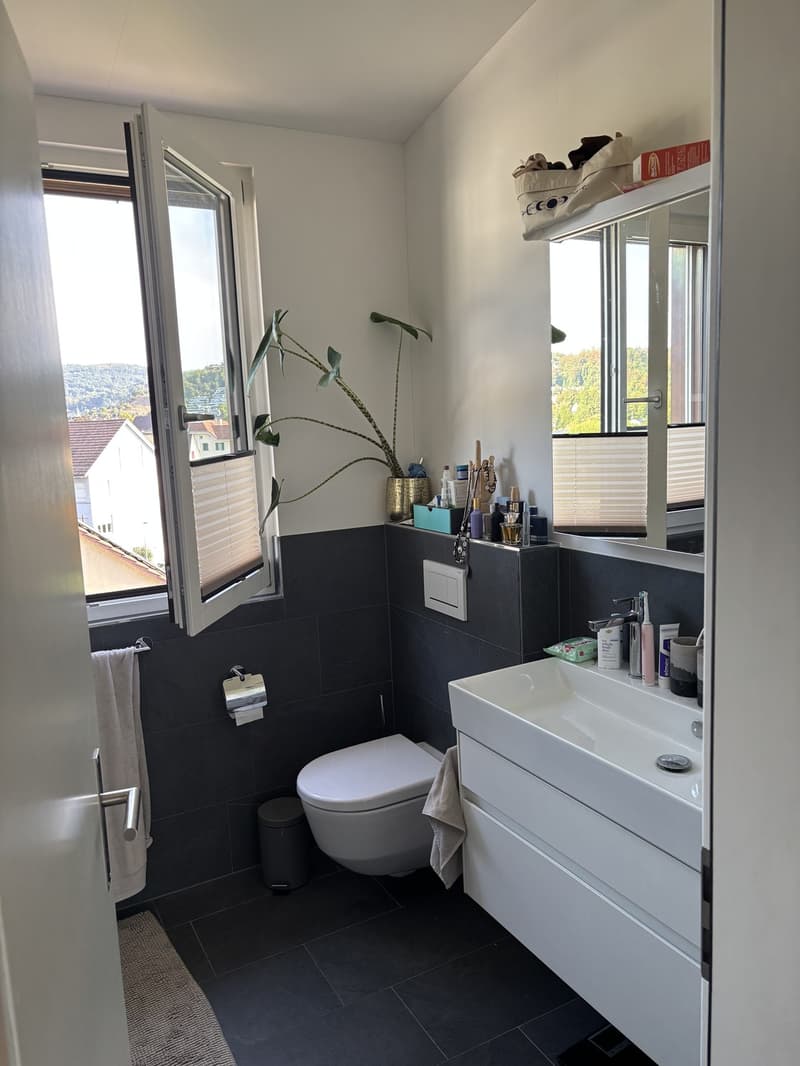 4.5 Zimmer Dachgeschosswohnung (6)