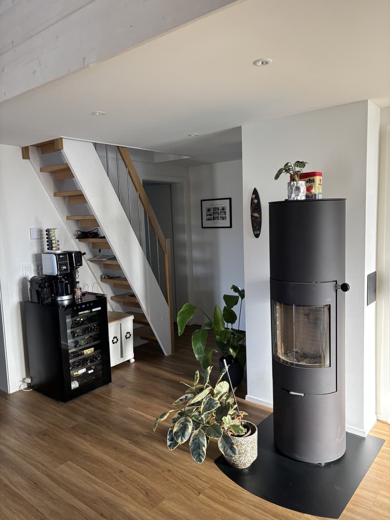 4.5 Zimmer Dachgeschosswohnung (10)