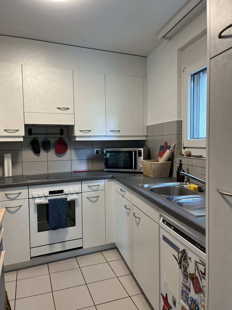 Geräumige 3,5-Zimmer-Wohnung zwischen New Town und Allmend/Messe (6)